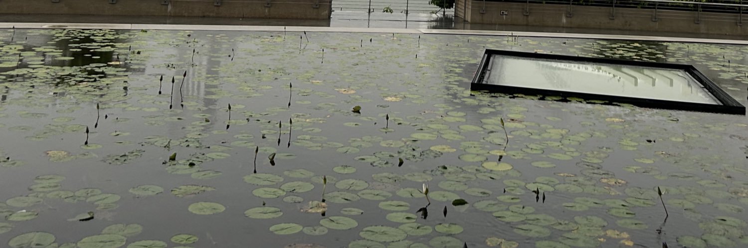 Themystic007's profile banner image