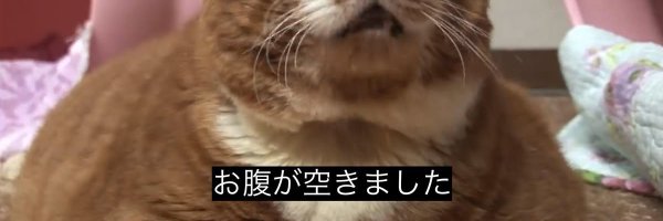 AdiRed4's profile banner image