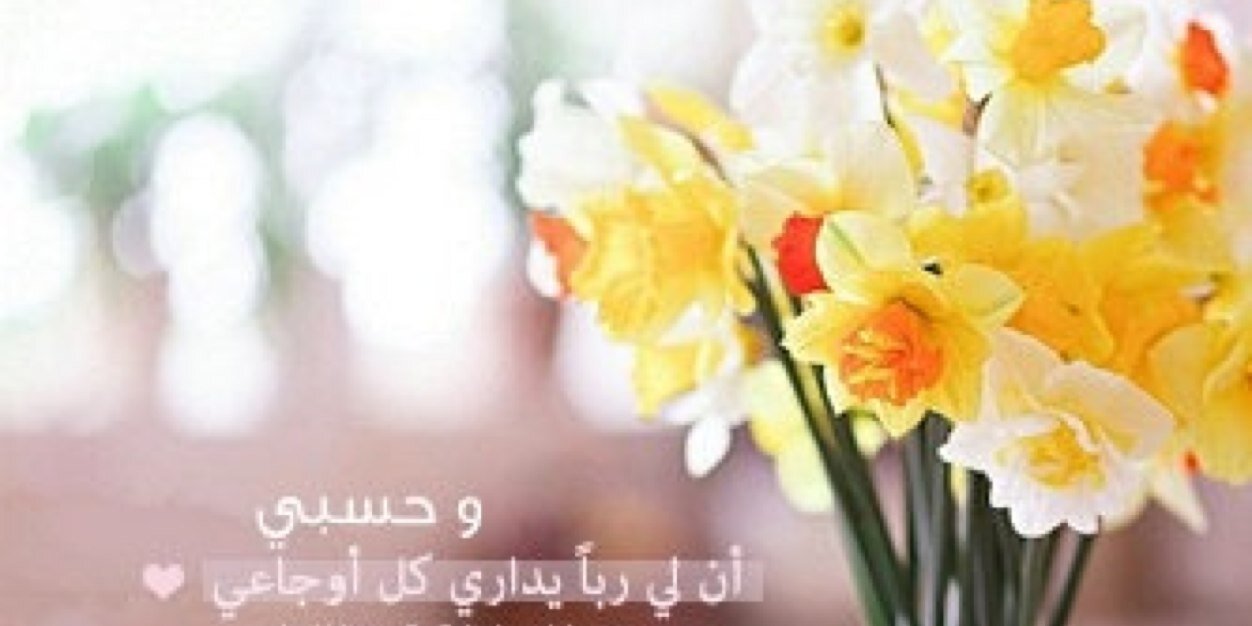 abood_s_s's profile banner image