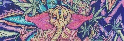 Max 🦁 1488 🖤🤍 banner
