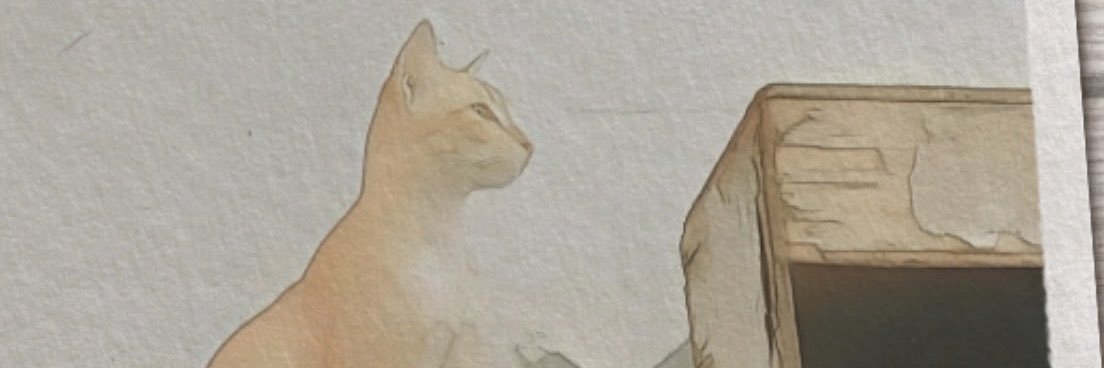 misoruki_'s profile banner image