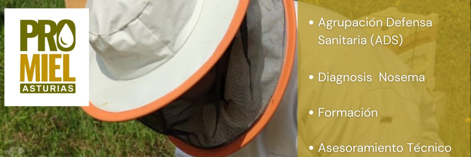 promiel_asturias banner