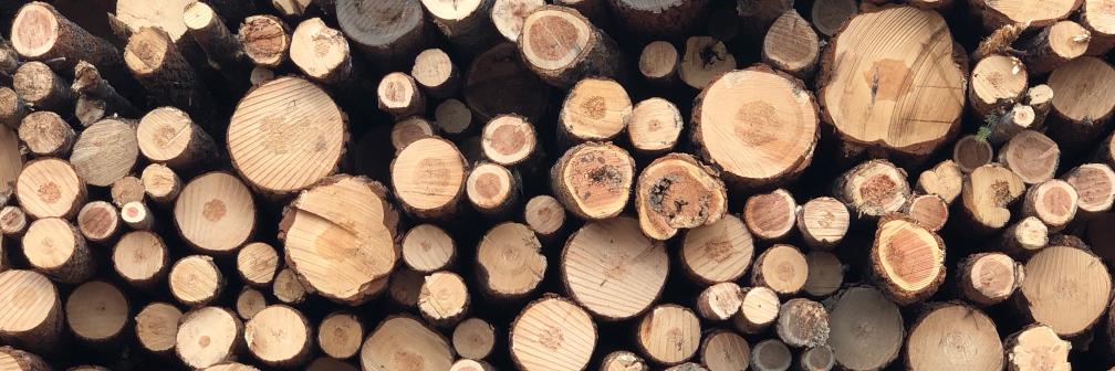 BC Community Forest Association banner