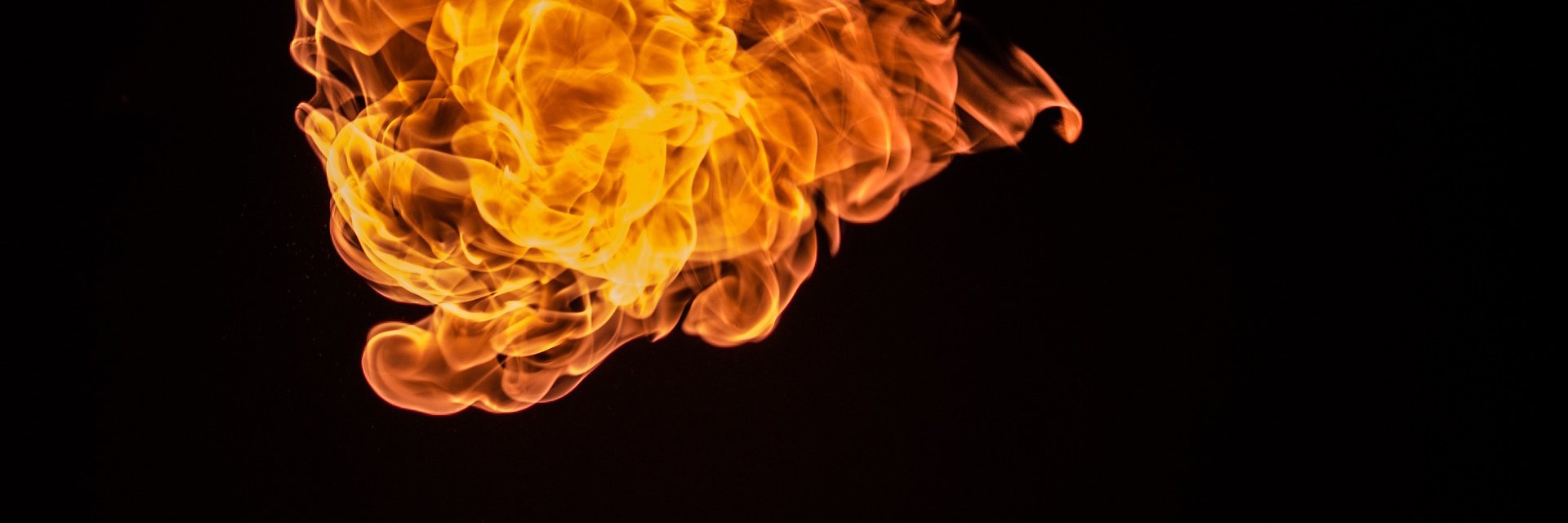 austinprimal's profile banner image