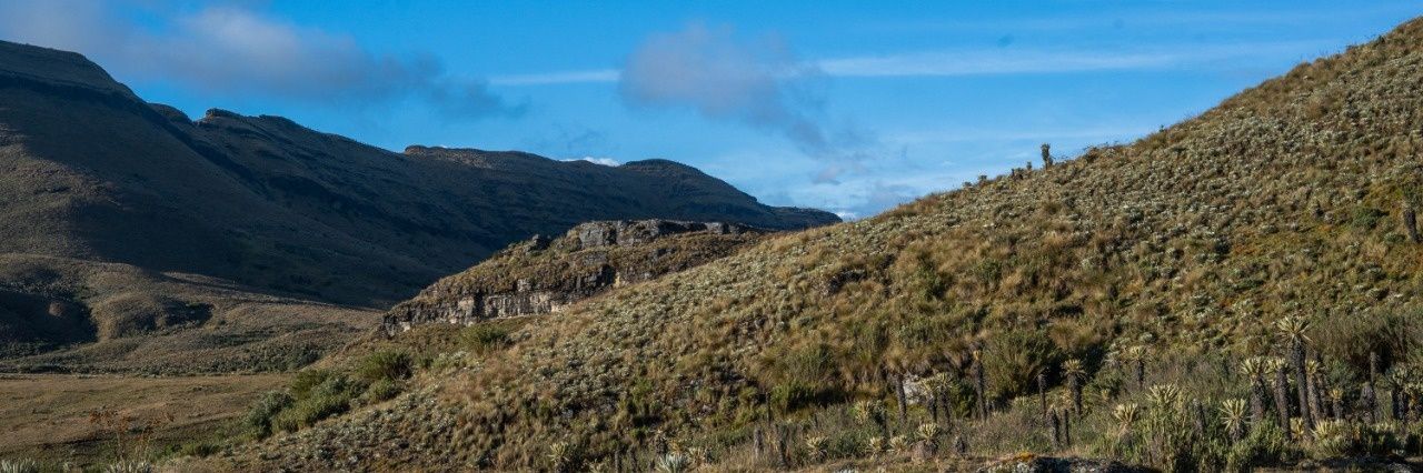 Prensa de Guerra banner