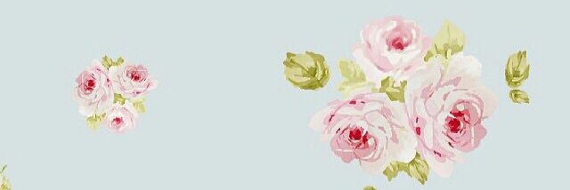 SumaleeWeller's profile banner image