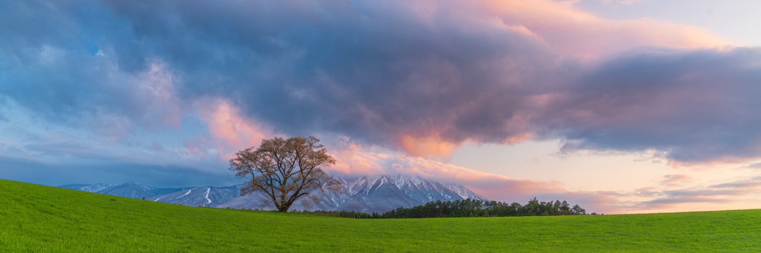alpha_giulia's profile banner image