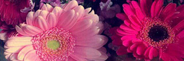 Courtney banner