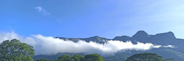 m_mwly Profile Banner