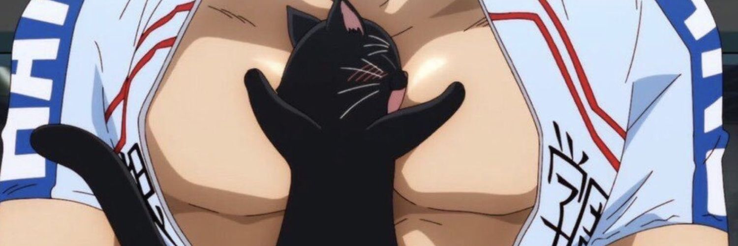 lilhoeybear banner
