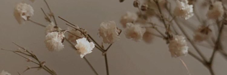 randyvrila's profile banner image
