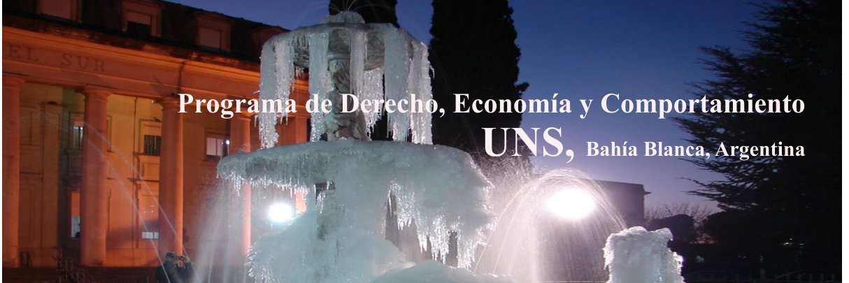 DEC UNS Bahía Blanca banner