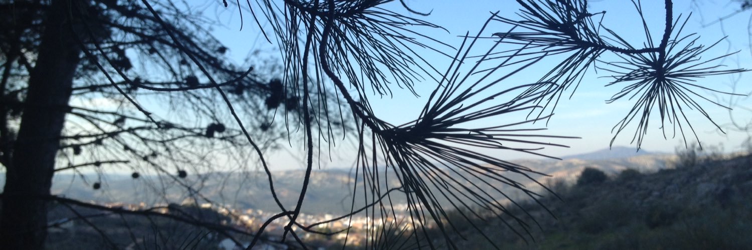 aleld94's profile banner image