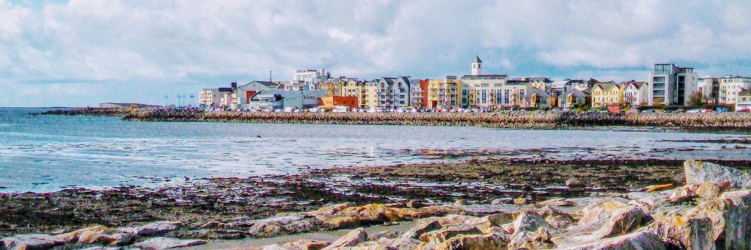 Alla Fedorova banner