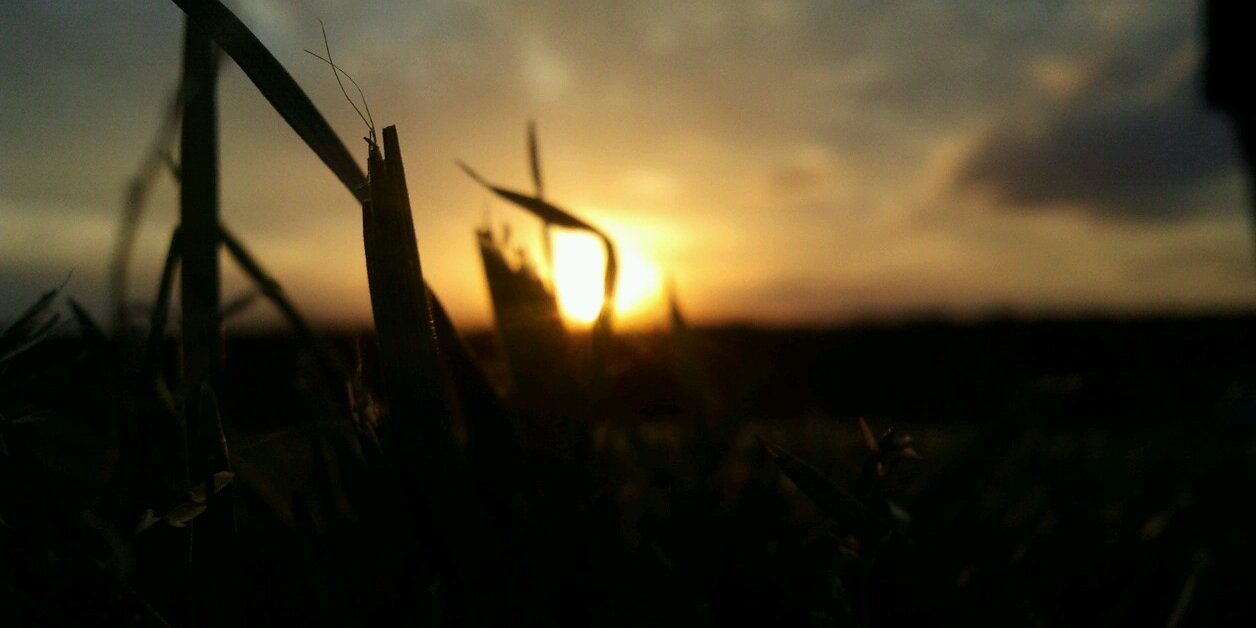 fede_forciniti's profile banner image
