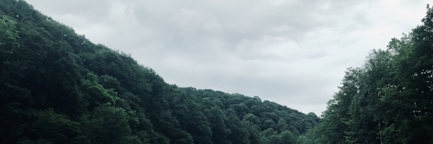 danieledlauer's profile banner image