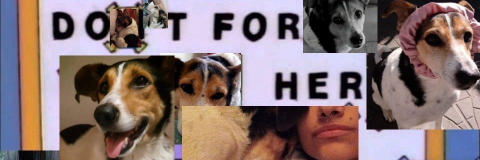 RochiRamiirez's profile banner image