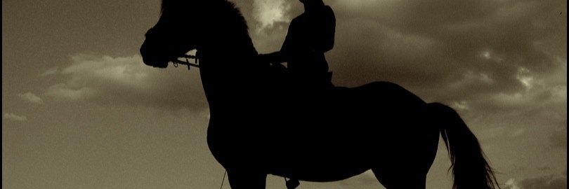 wowo055's profile banner image