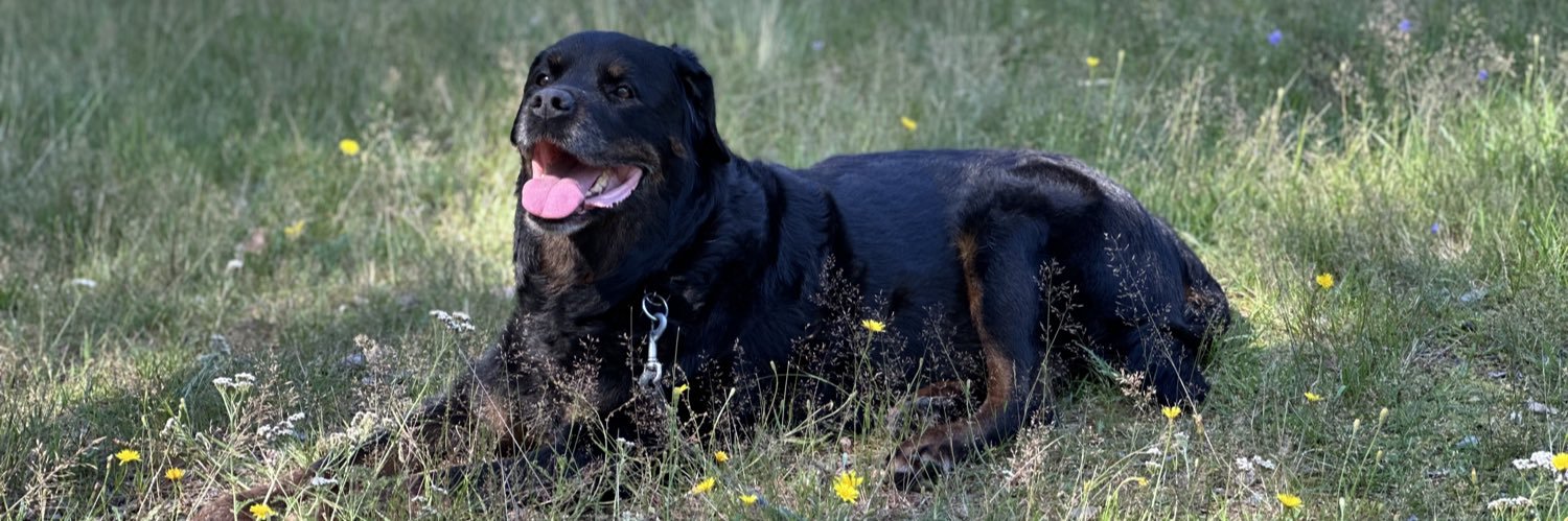 Tapio Heiskanen 🦋@oh2th.fi banner