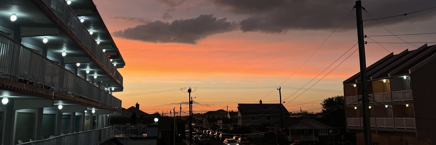 dandeelyinn's profile banner image