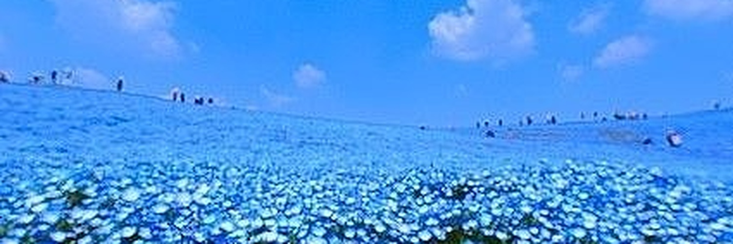 ronnie_mae10's profile banner image