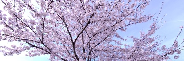 odorry Profile Banner