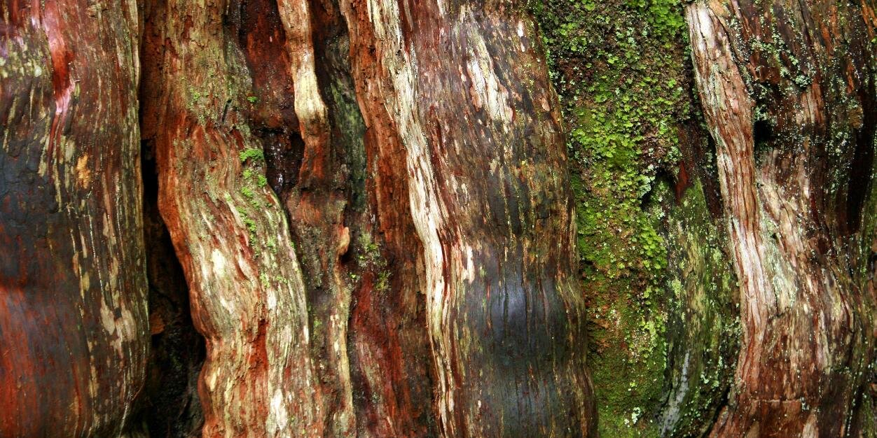 eric vidalenc banner