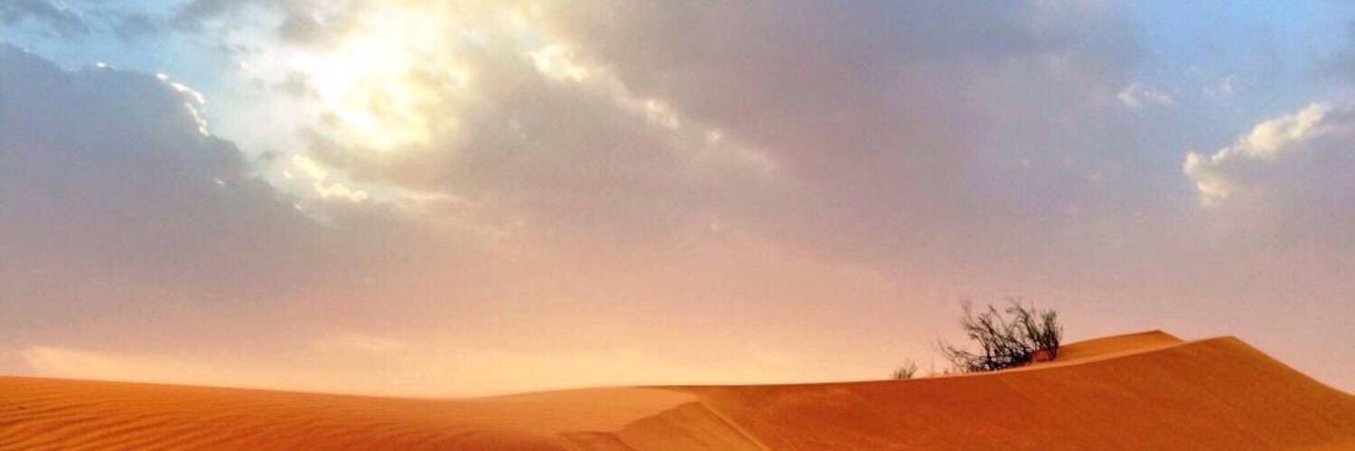 anarasf's profile banner image