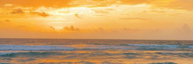 Yurle Pushaina 🐼 banner