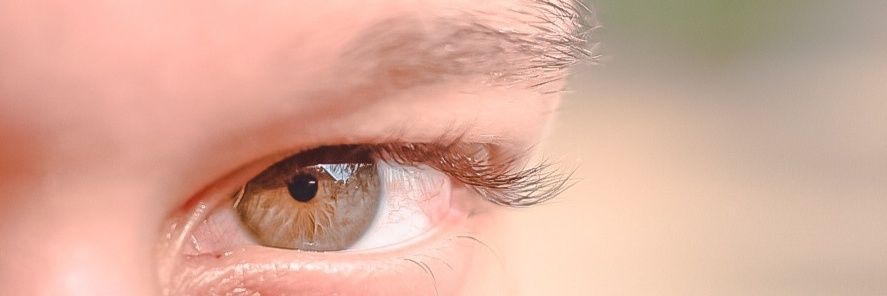 🌊's banner