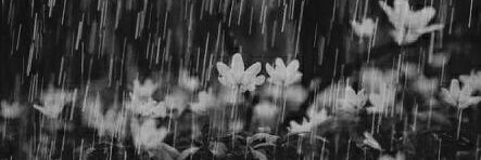 जय महाराष्ट्र 🔥🚩 banner