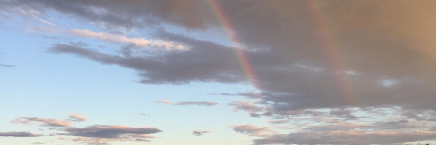riley_melanson's profile banner image