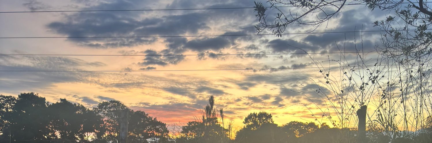 LuciaGomes24's profile banner image