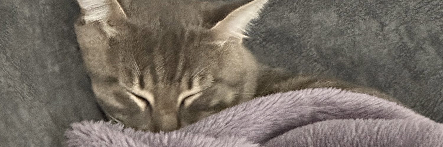 eebkaya's profile banner image