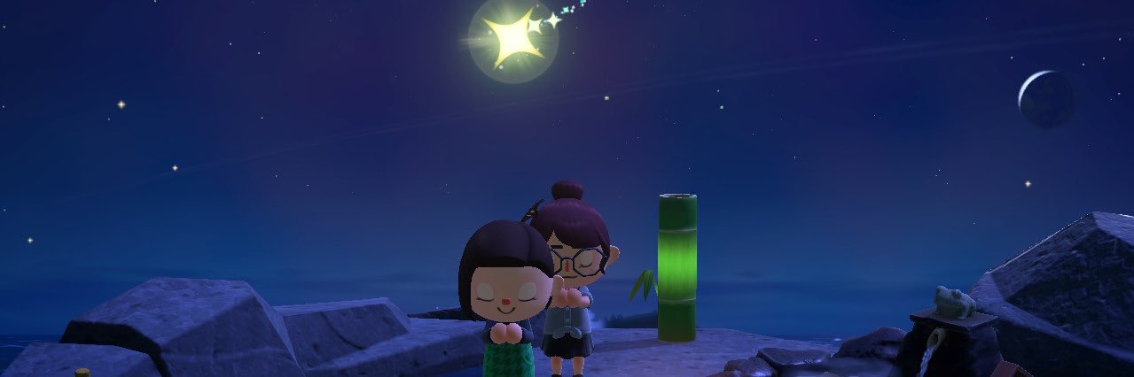 Allison Elaine 🍃 banner