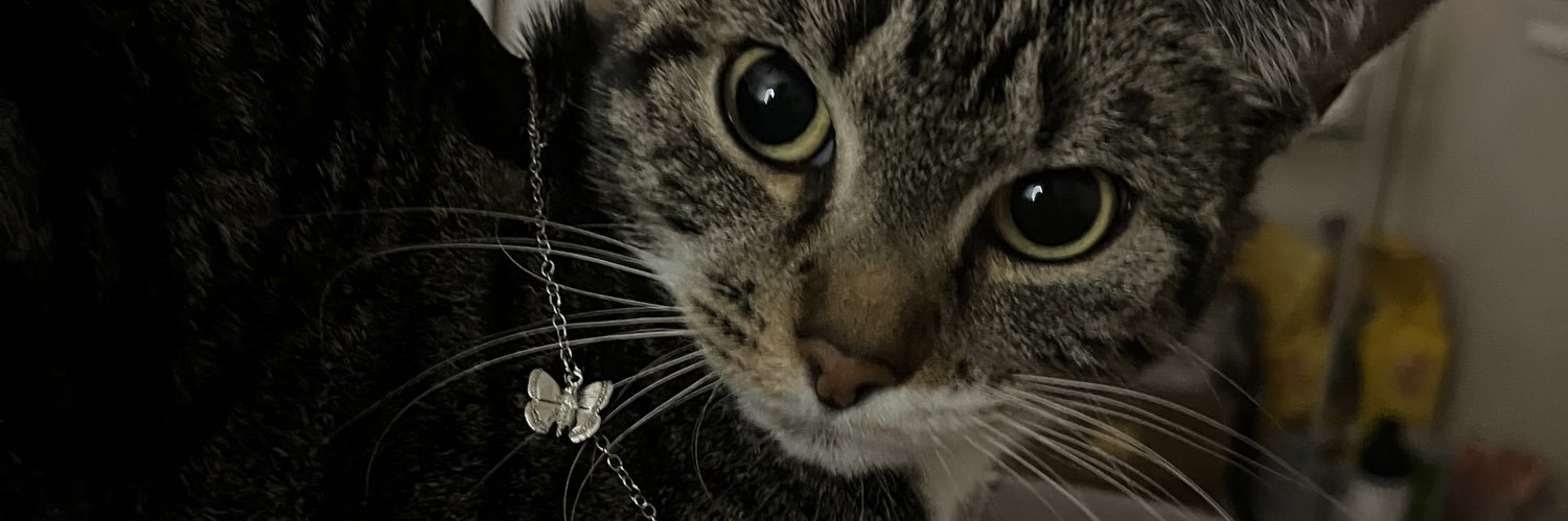 AlexaAlonso09's profile banner image