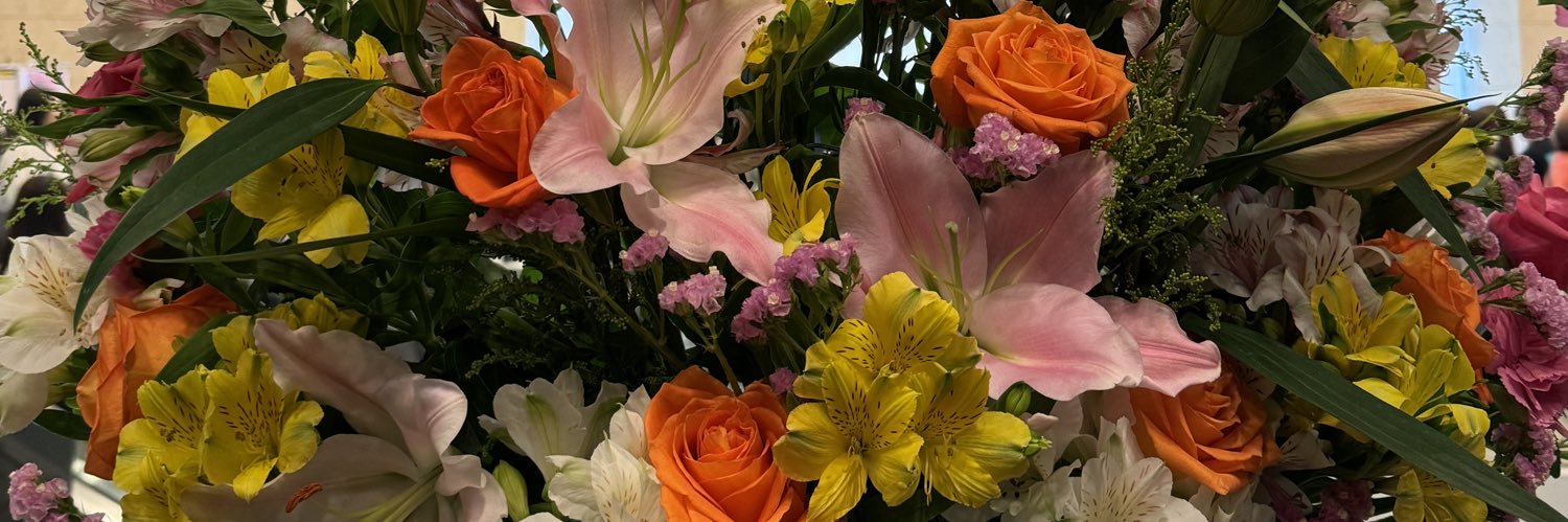 （߹𖥦߹） banner