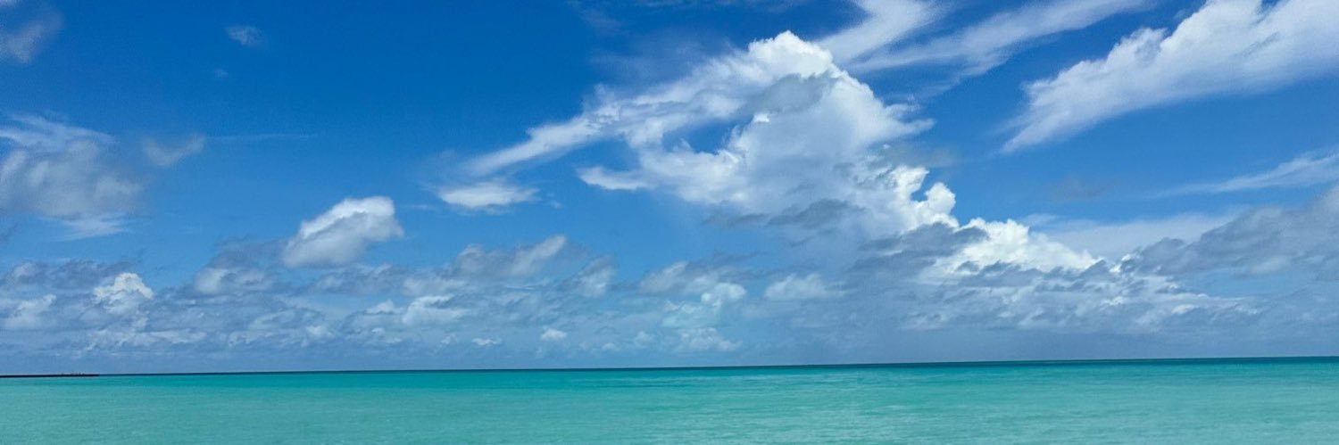 hide_fjz's profile banner image
