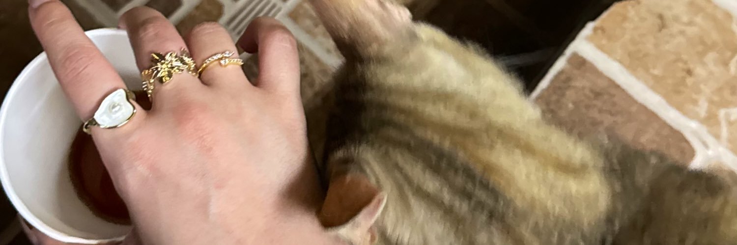 AishaAlhashem's profile banner image