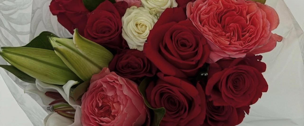 prettyyybebee's profile banner image