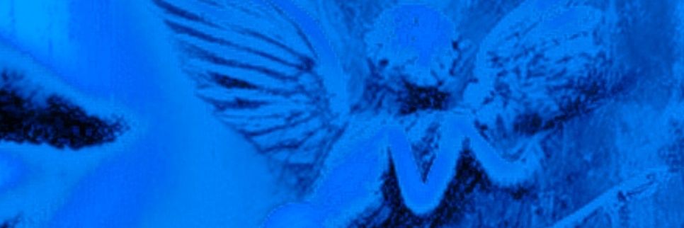 VELVET ISOLATION's banner