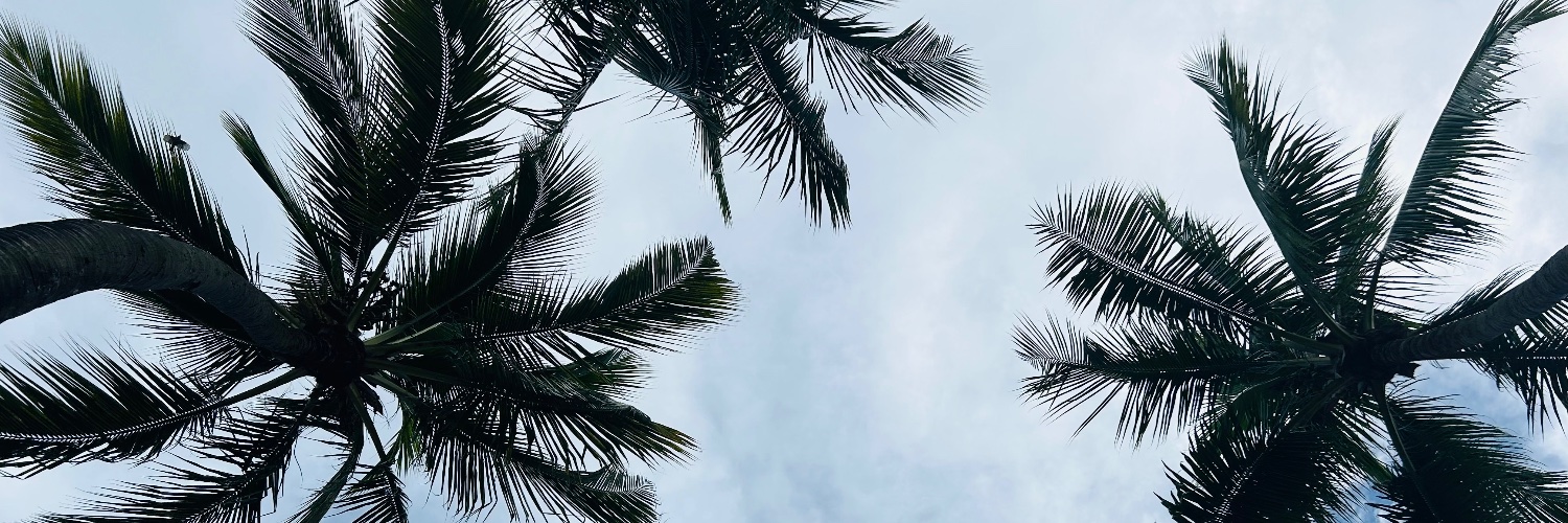 hellosunsummer's profile banner image
