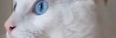 EL DEDO EN LA LLAGA banner