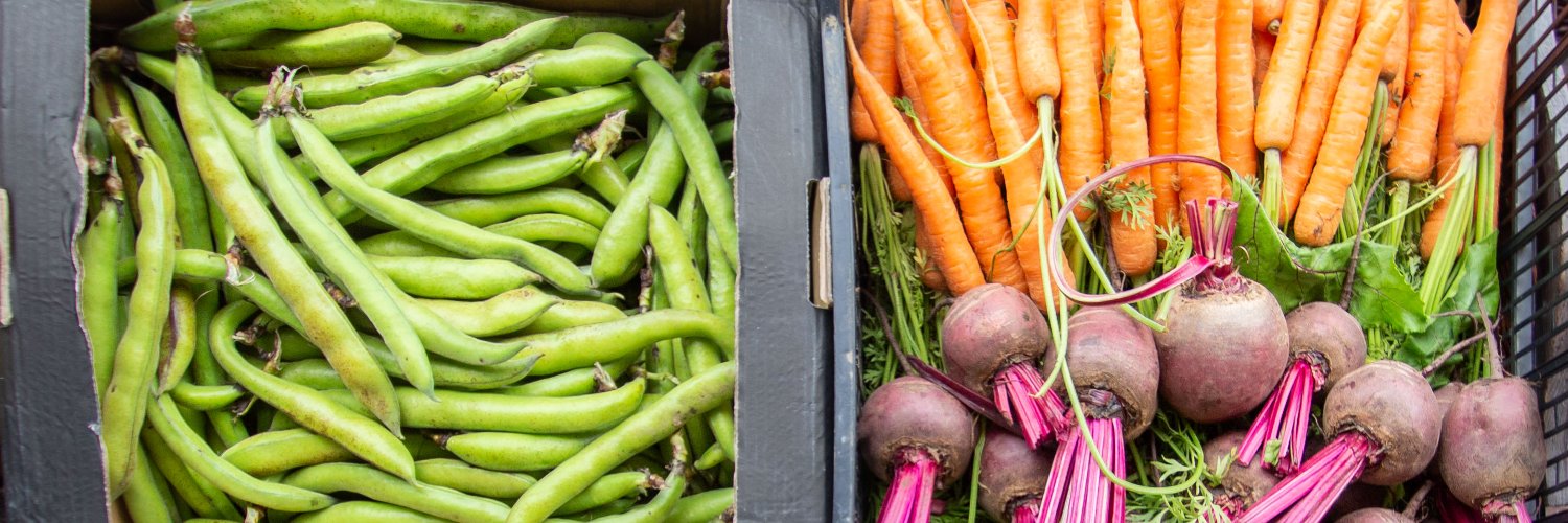 Wild Thing Catering banner