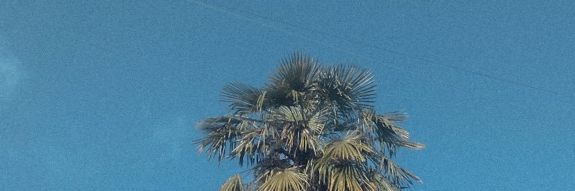 WeeksAllegra's profile banner image