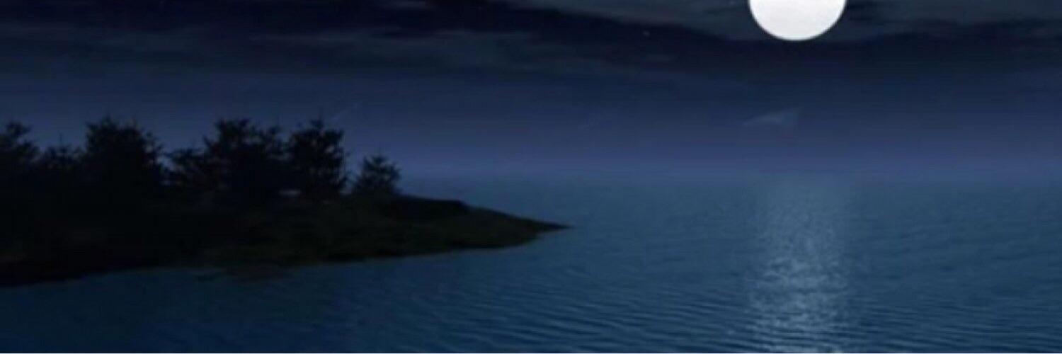 T00000Q's profile banner image