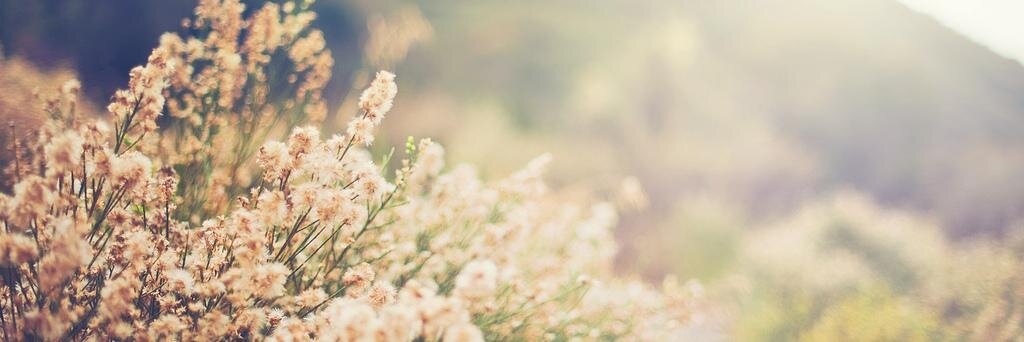Vivianswan's profile banner image