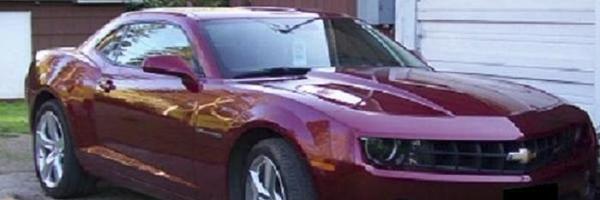 Sassynos Profile Banner