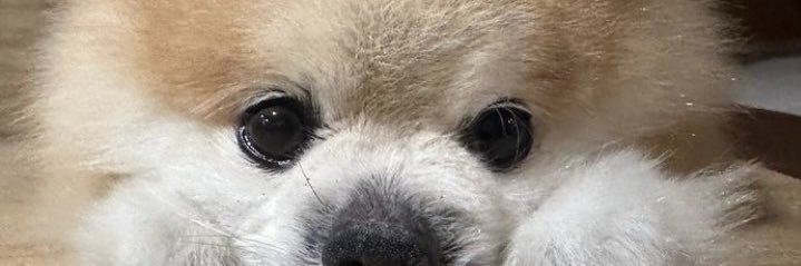 patrick_dhastin's profile banner image