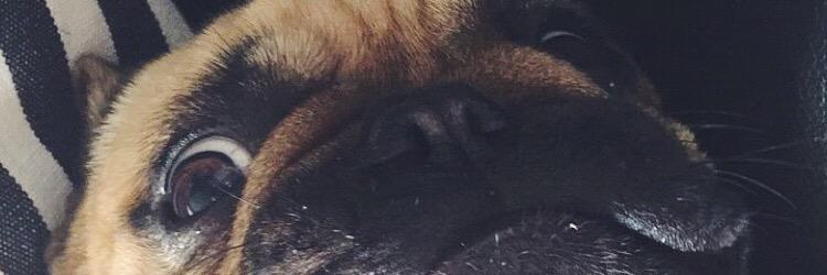ronk_f's profile banner image